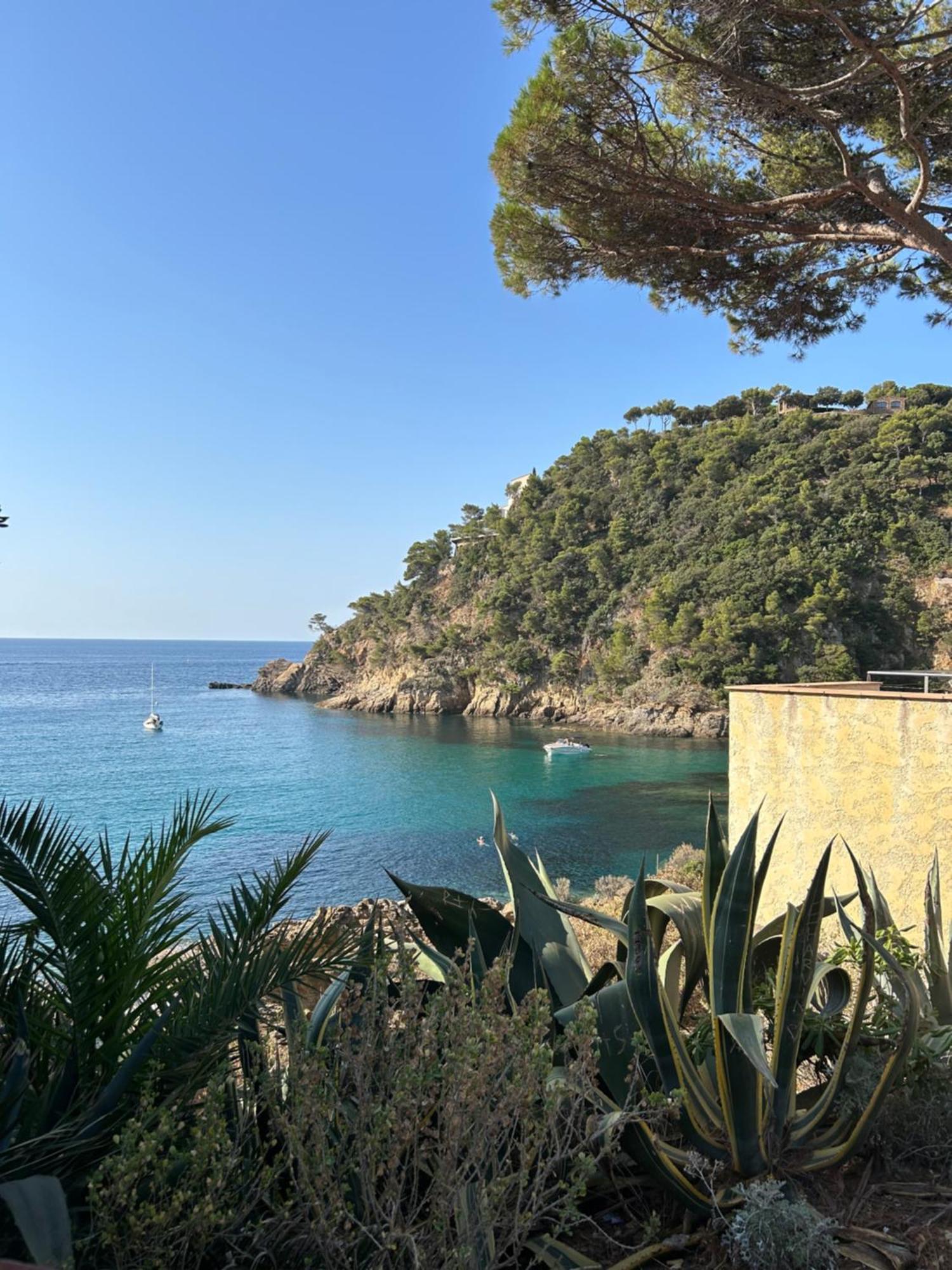 La Calypso Apartamento Cavalaire-sur-Mer Exterior foto